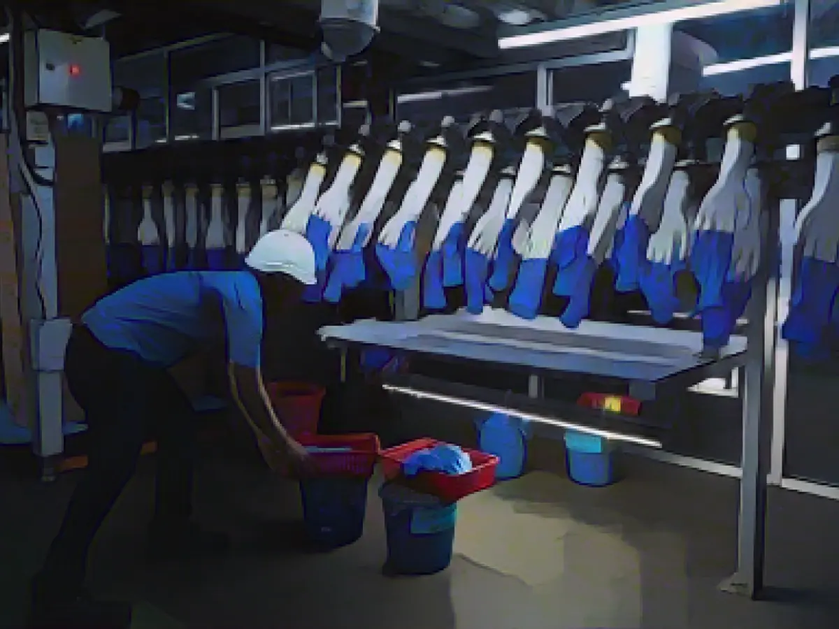 Top Glove cleared to resume sales in U.S. after passing mandatory labor inspection