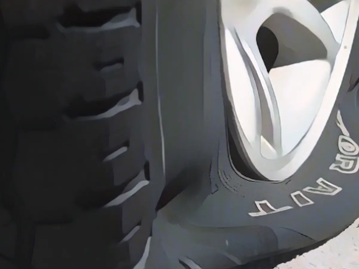 Serial tire slasher turns out to be a dog