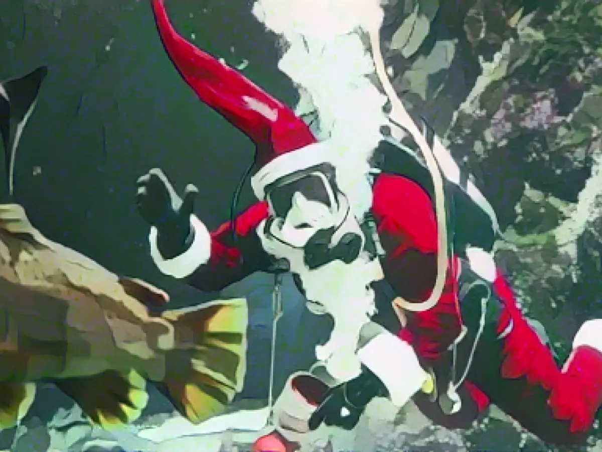 St. Nicholas diver visits the fish in the large aquarium