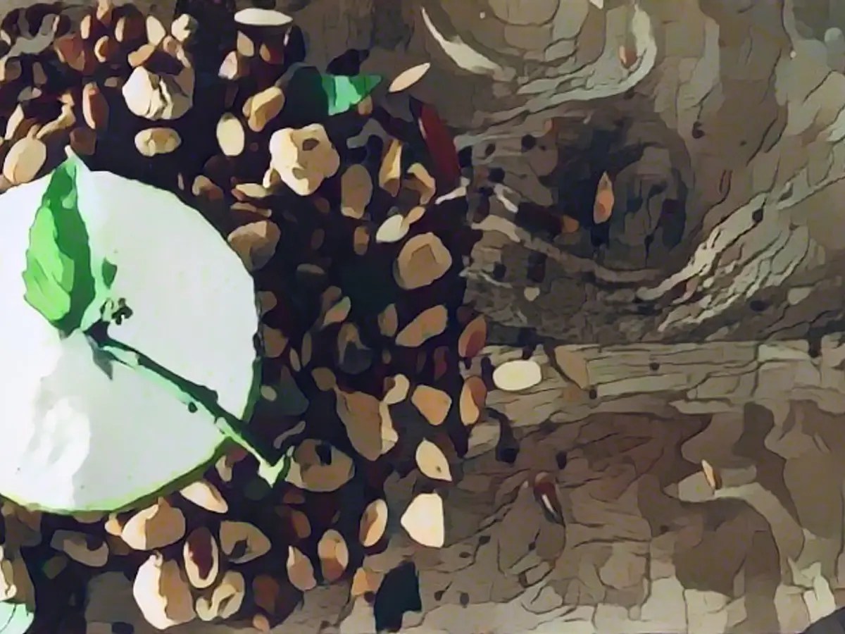 Sweet Lemon Mousse with Granola Crumbs