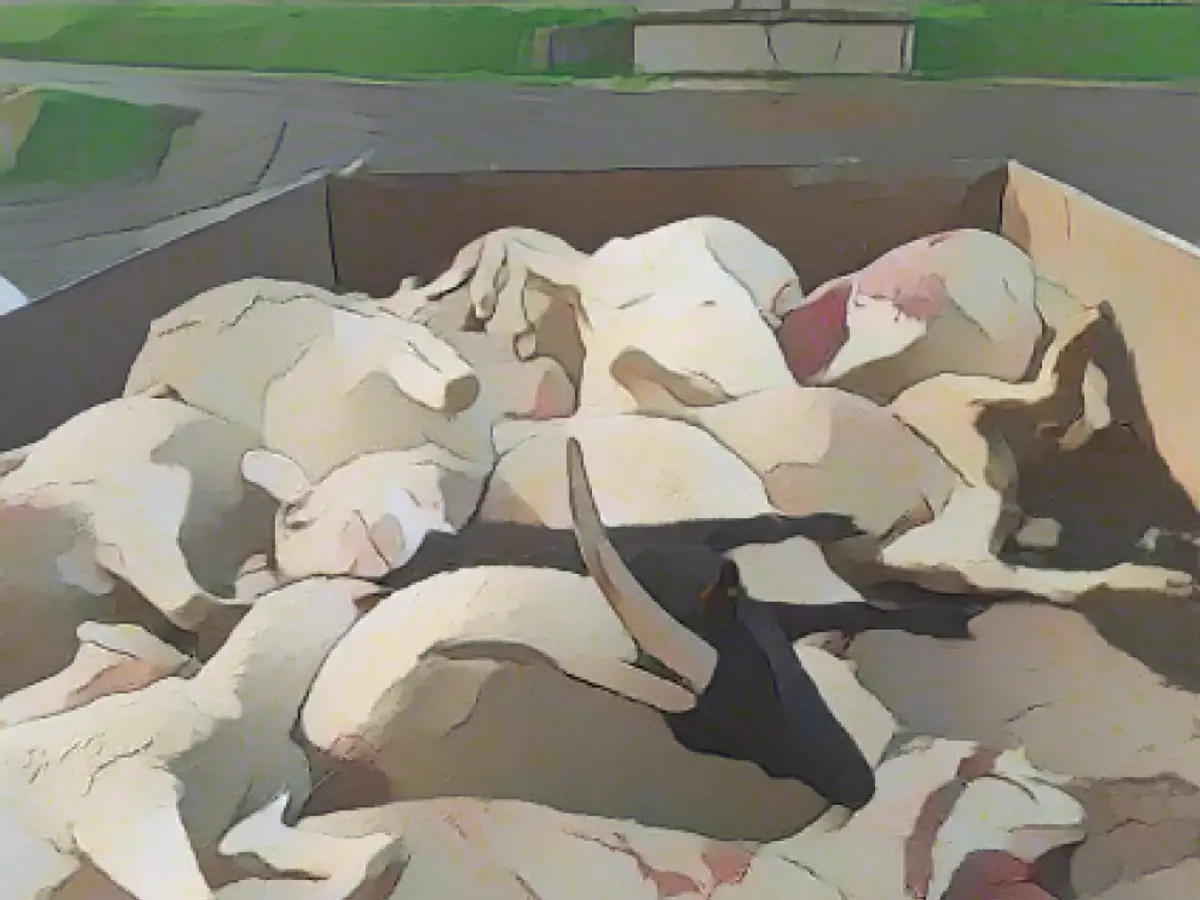 Wolf massacre in the middle of Germany