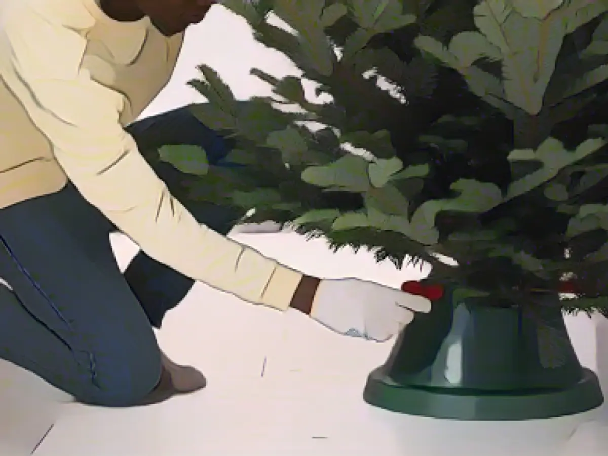 Cleaning up your Christmas tree (and other things to do before bringing it inside)