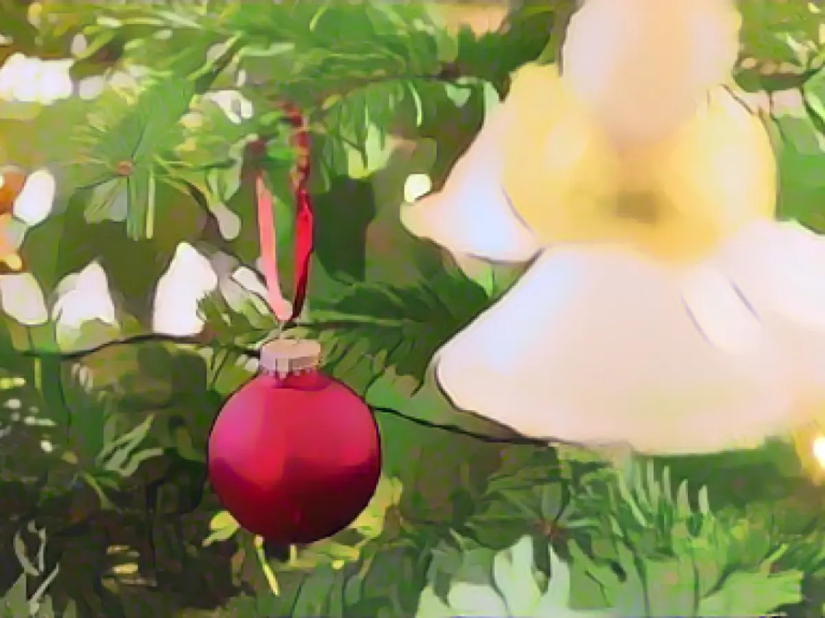 Thieves steal more than 50 fir trees