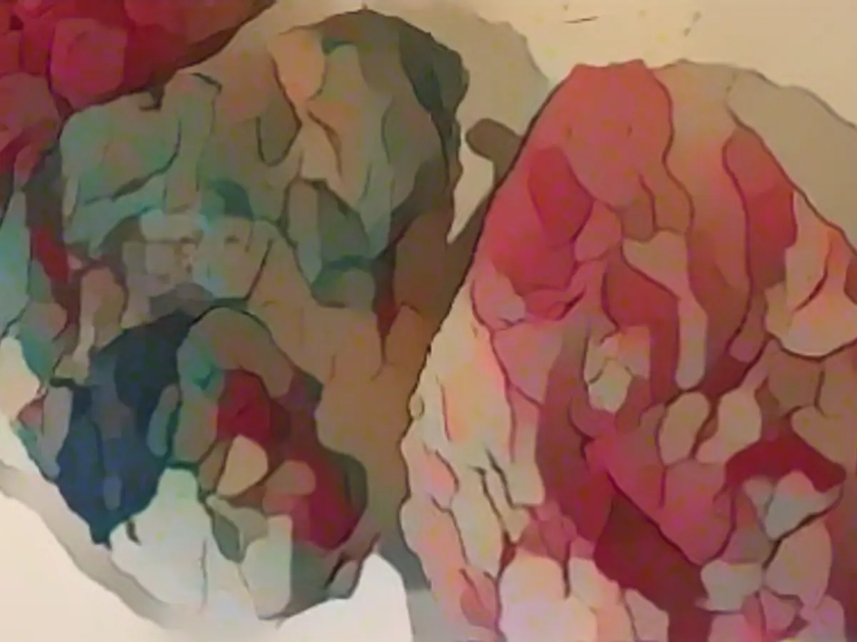 Colorful sugar cookies