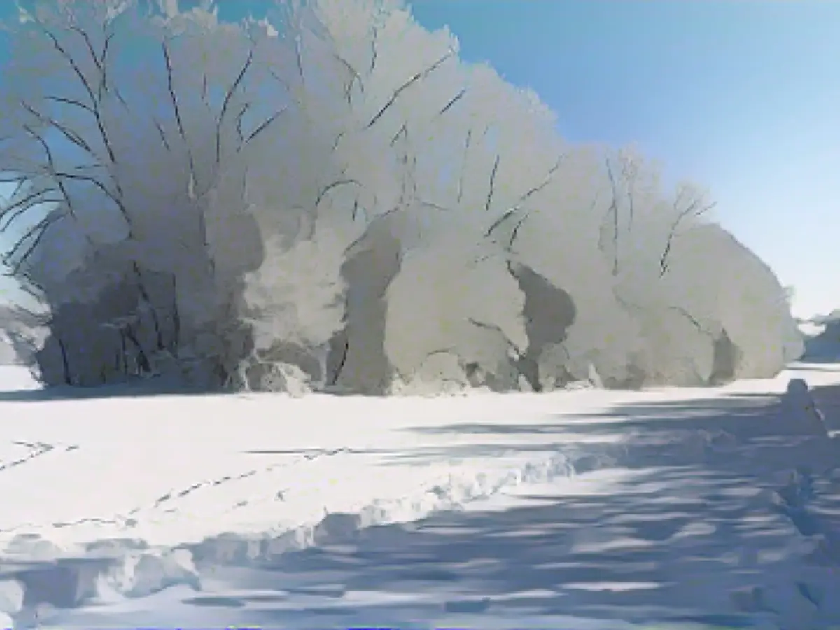 Snow chaos! Traffic paralyzed