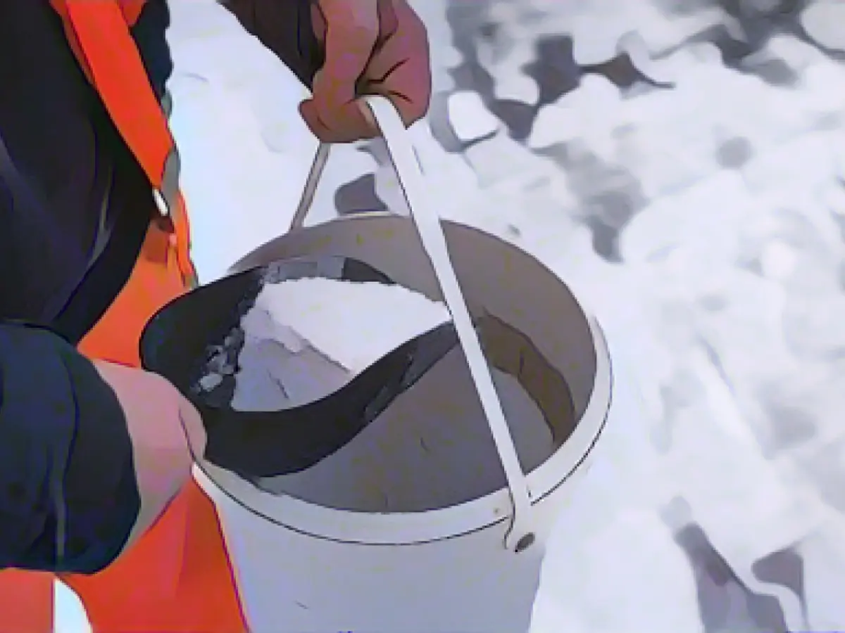 Environmentalists: road salt in winter damages trees in summer