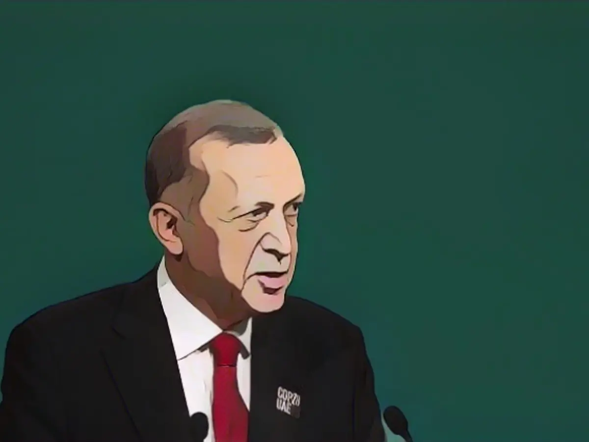 Erdogan links ratification of Sweden's NATO application to fighter jet deal