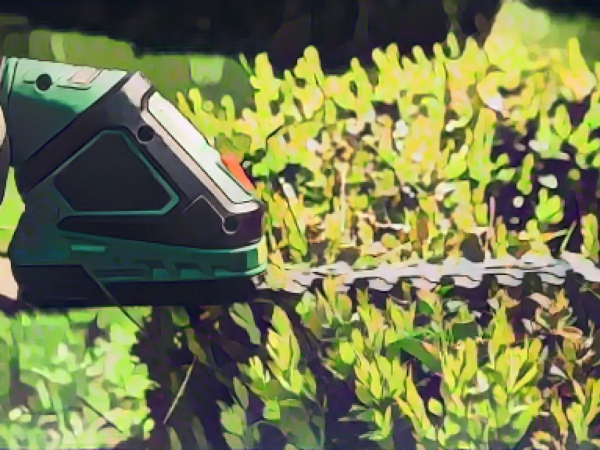 Best tool gifts for landscape and garden lovers