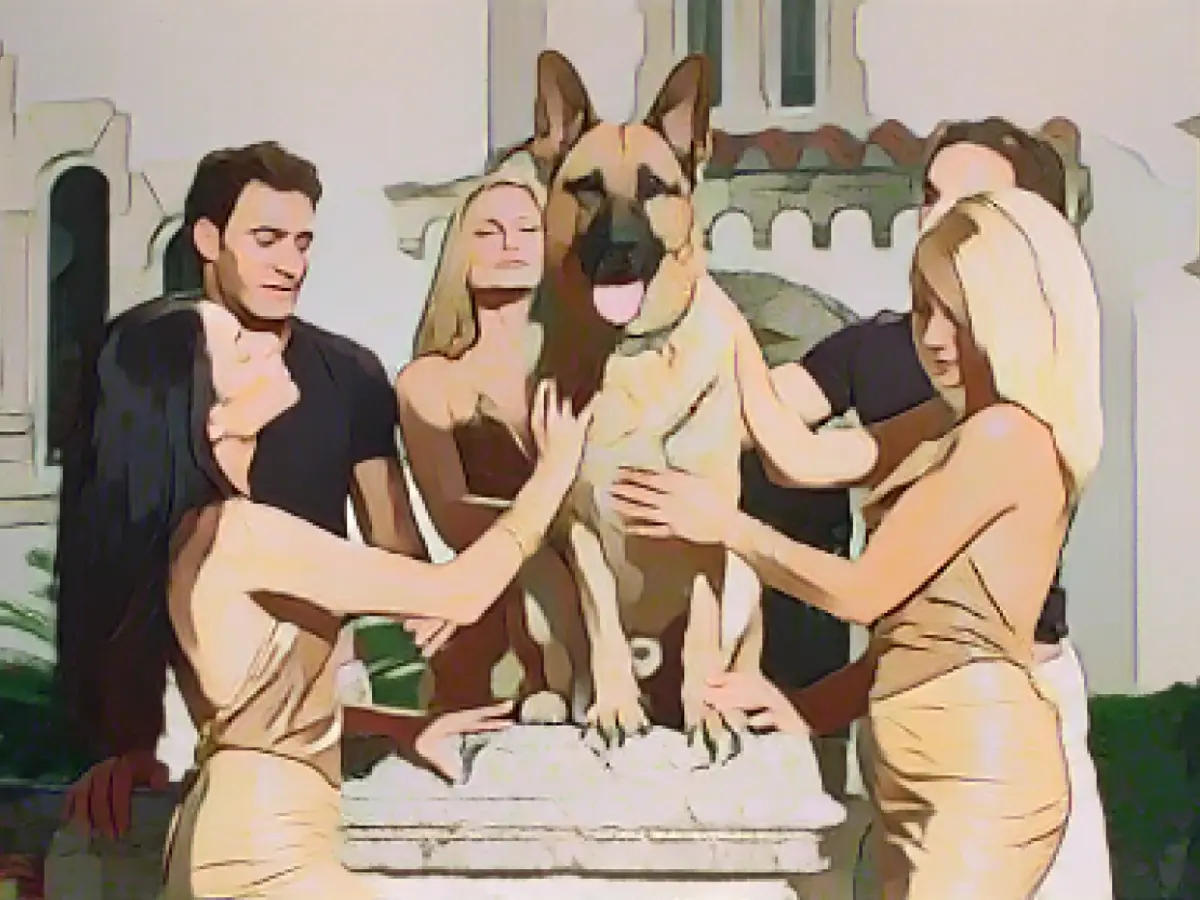 'Tiger King' sequel 'Gunther's Millionaire' shows how TV news can get dogs into trouble
