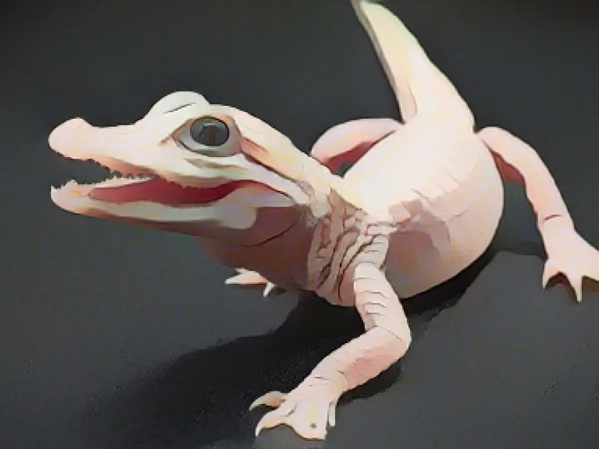 Ultra-rare white alligator born in Orlando park