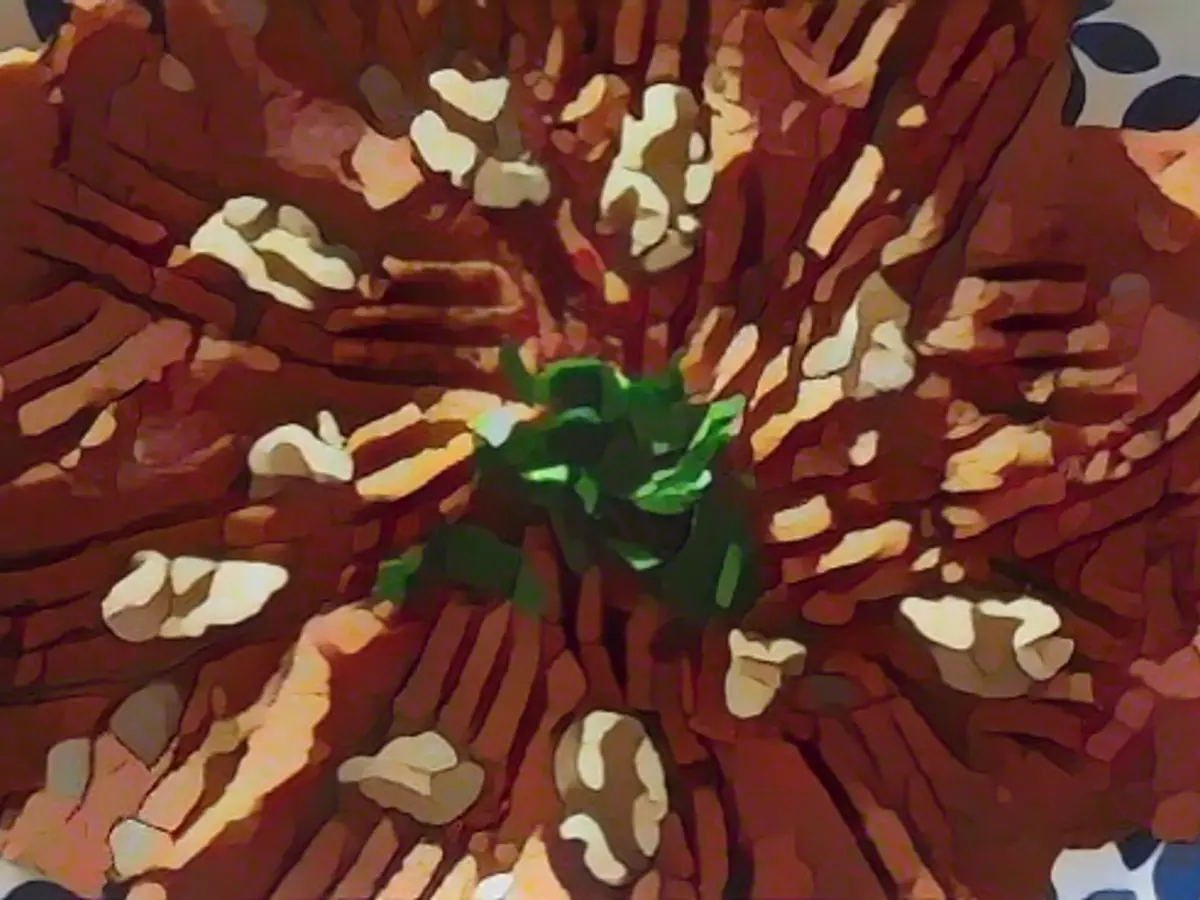 Mashed Potatoes Kibbeh Nayeh