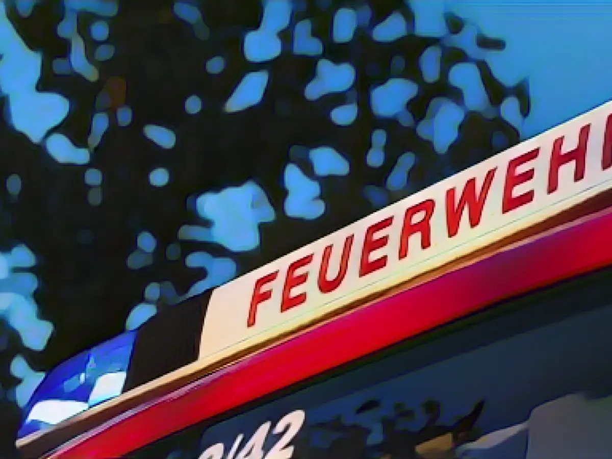 25-year-old driver dies after head-on collision