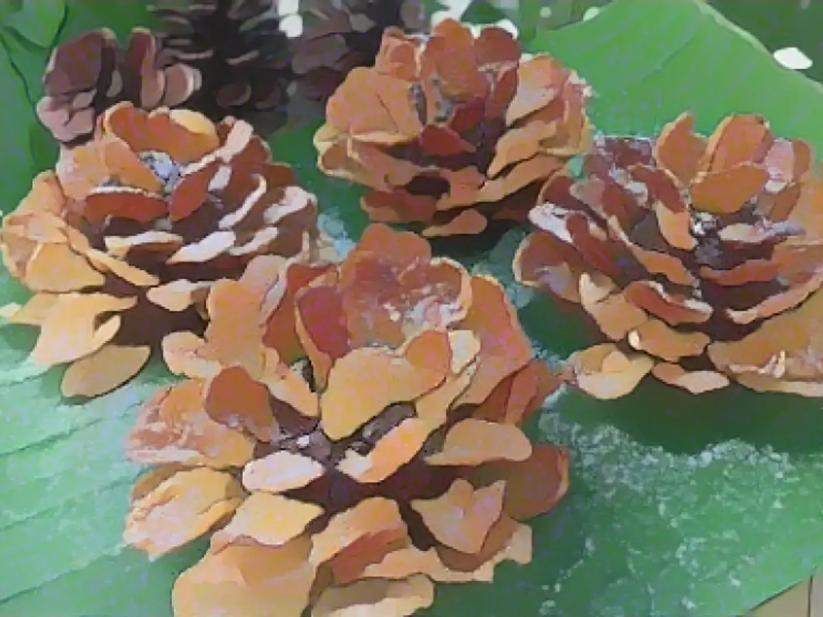 Christmas fir trees with a difference: now made from cornflakes!