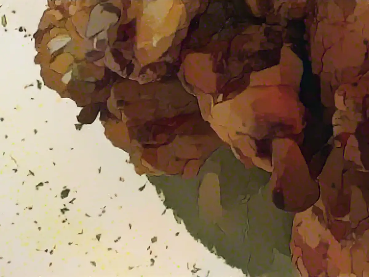 Chicken wings with lemon pepper and parsley