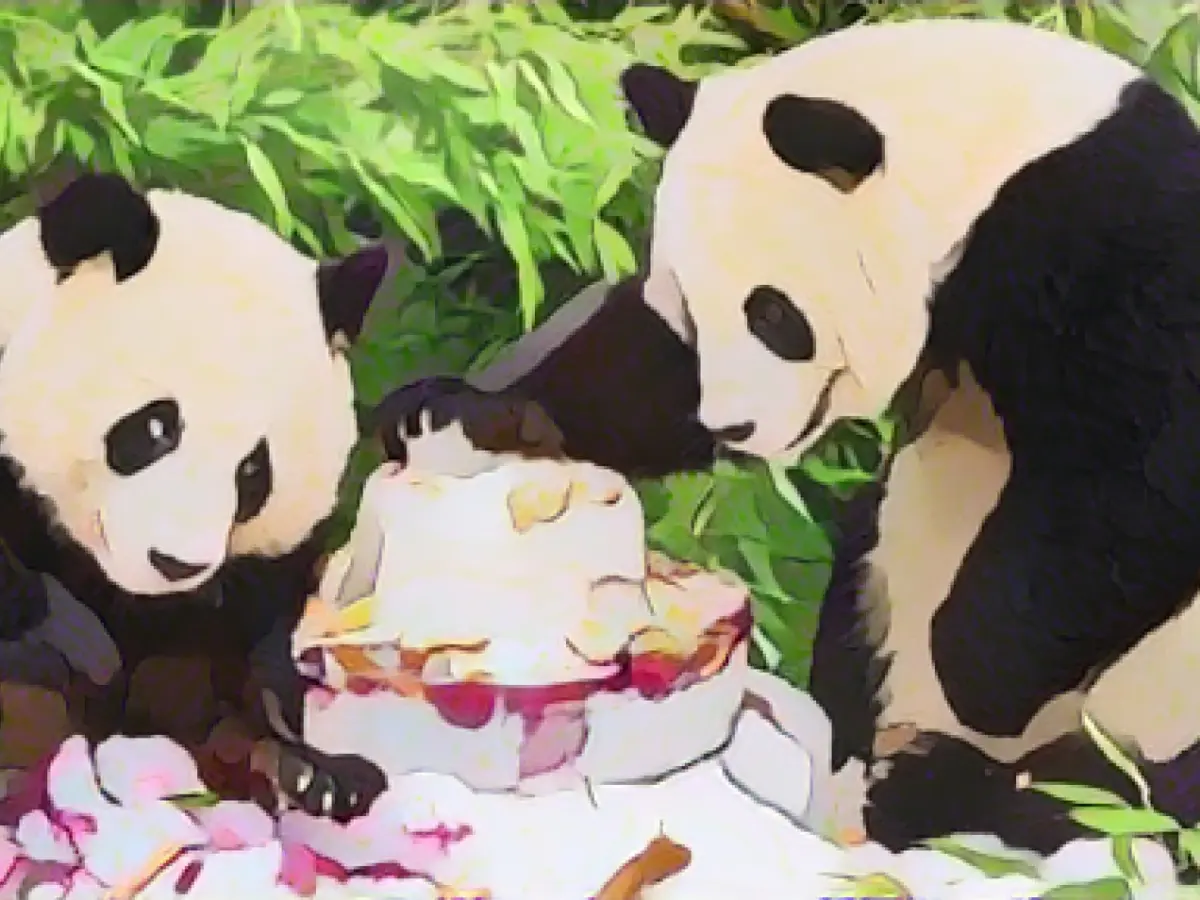 Panda twins Pit and Paule receive commemorative plaque at Berlin Zoo