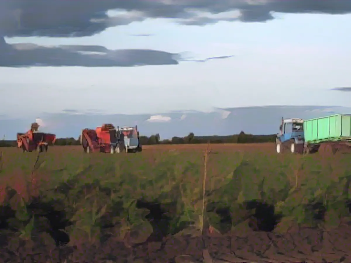 Opinion: The U.S. can’t give up on Ukraine’s economy — especially if we win the battle