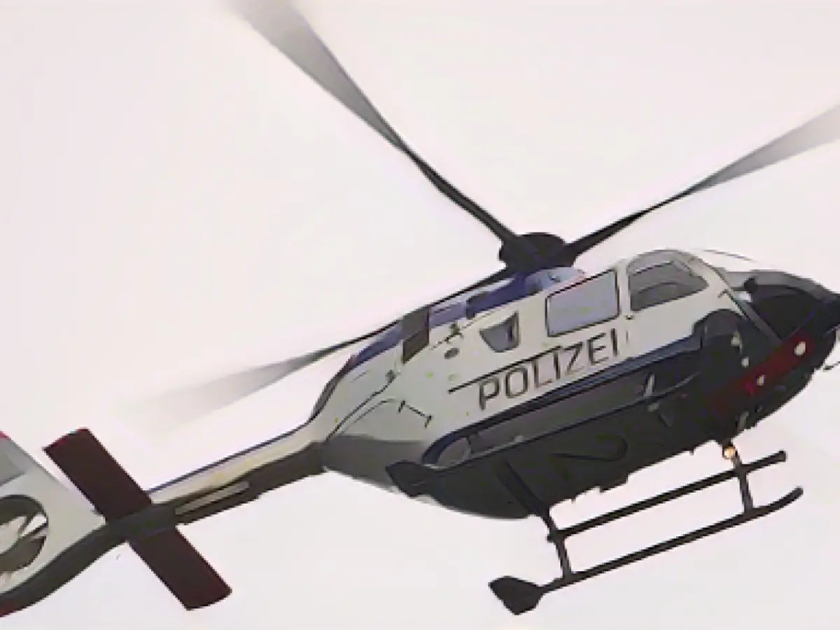 Serious accident: one man and two dogs die