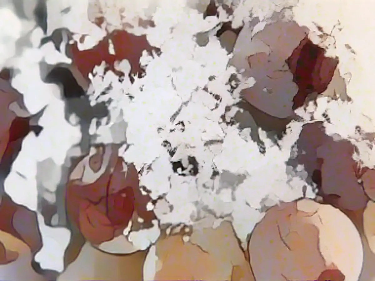 "Poker with the seasons": Hardly any ice wine harvested so far