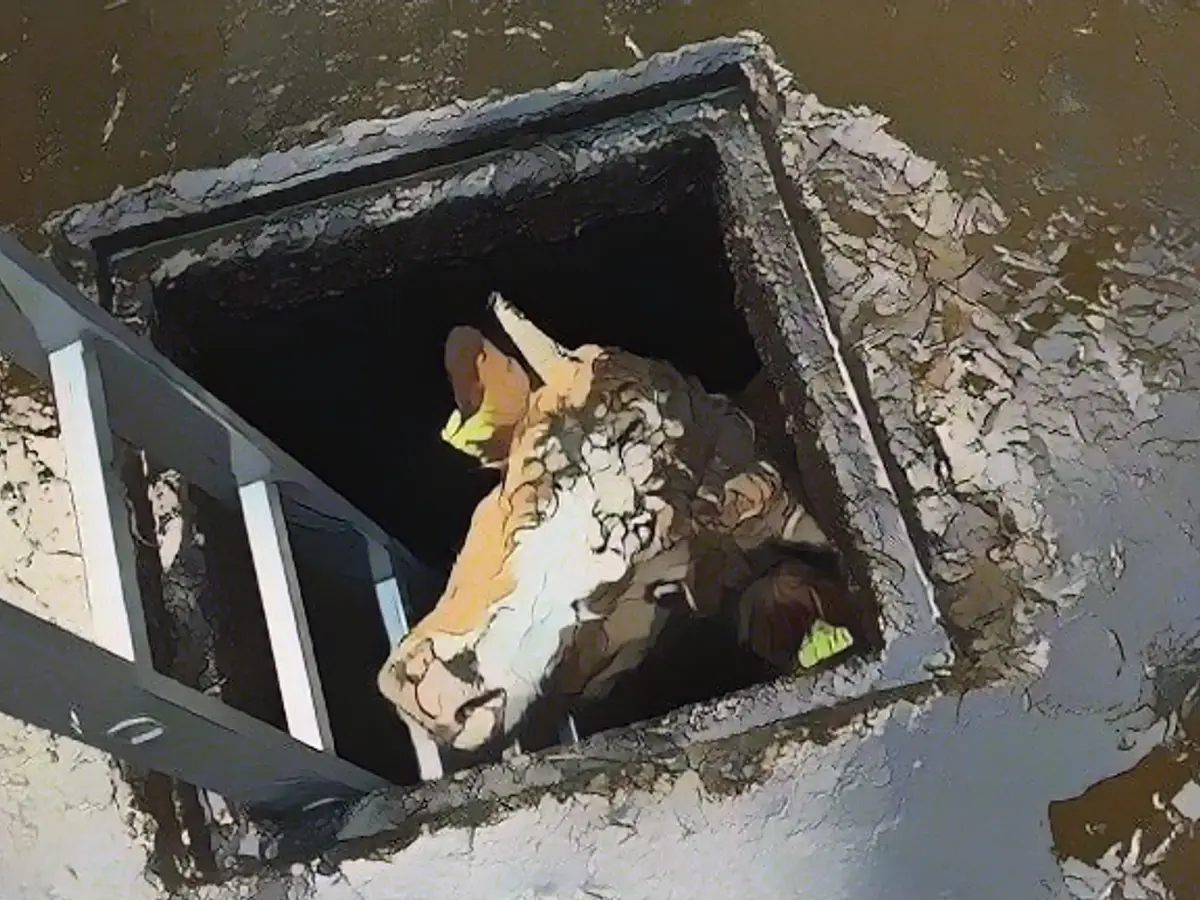 Rescued, but castrated!