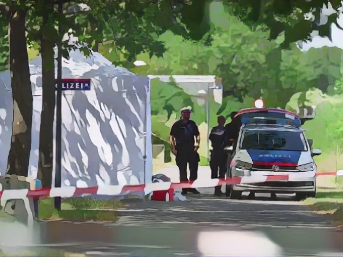 17-year-old confesses to murder of homeless man in Vienna