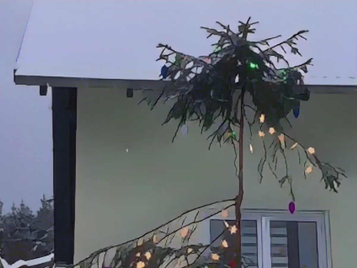 These are the ugliest Christmas trees!