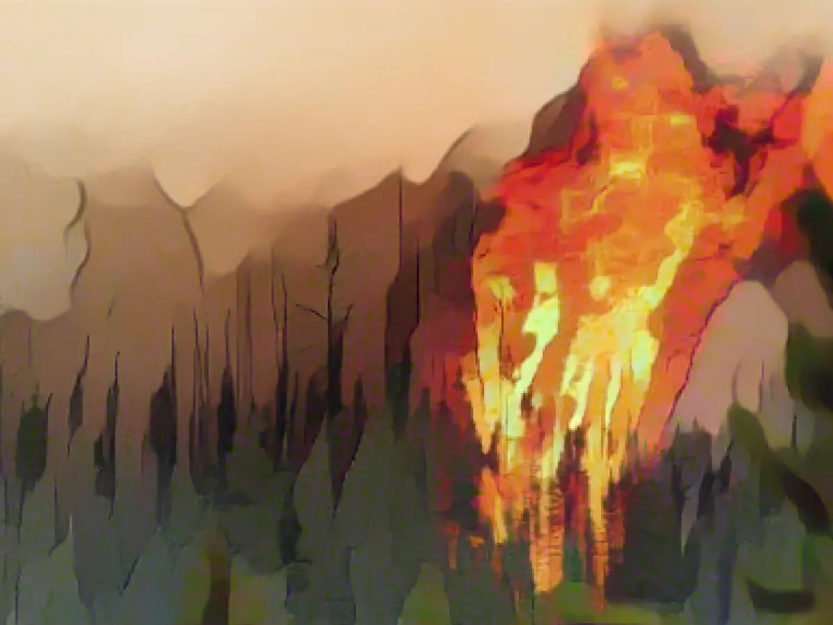 Fires in Canada responsible for a quarter of global forest fire emissions