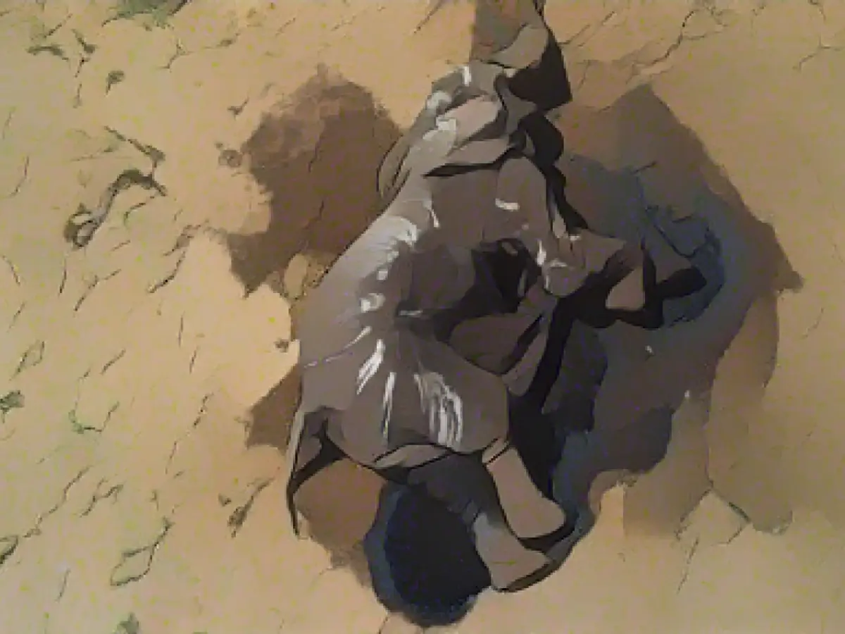 Deadly drought in Zimbabwe - 100 elephants dead