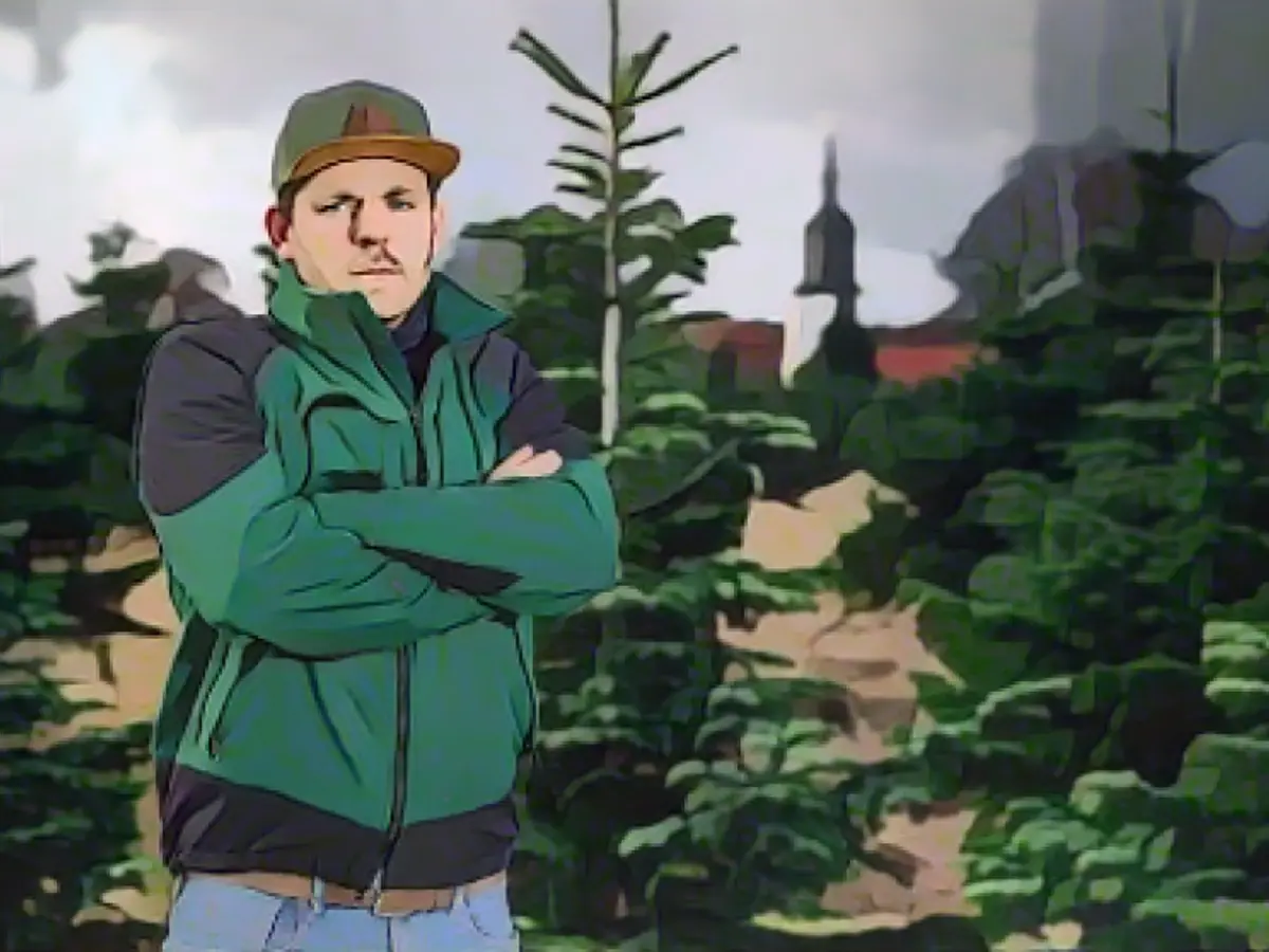 Thieves steal 250 Christmas trees from retailers