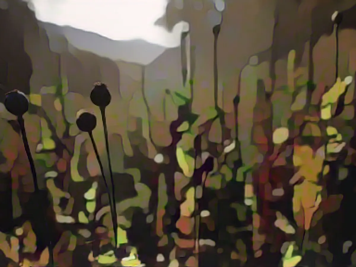 UN says Myanmar surpasses Afghanistan to become world's largest opium producer