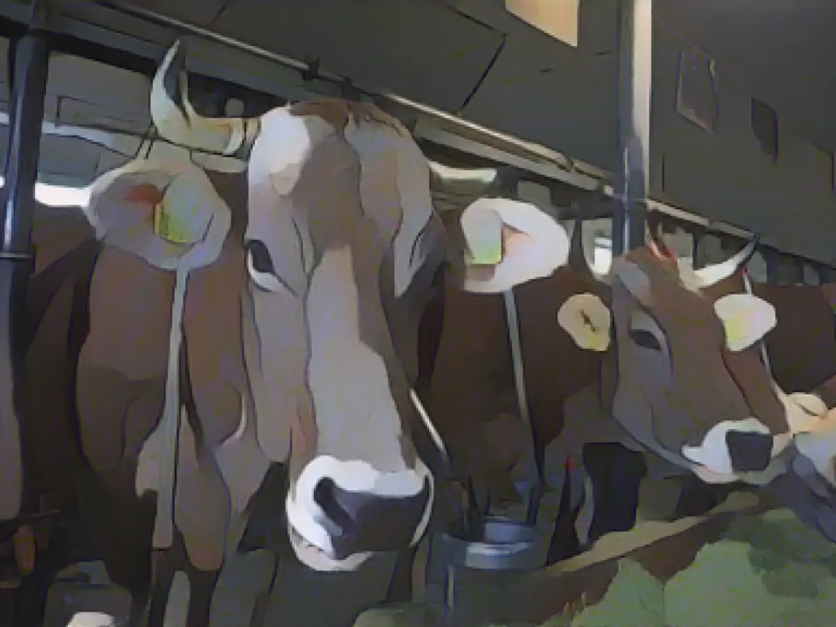 Goodbye to tethering: Happy cows - unhappy farmers?