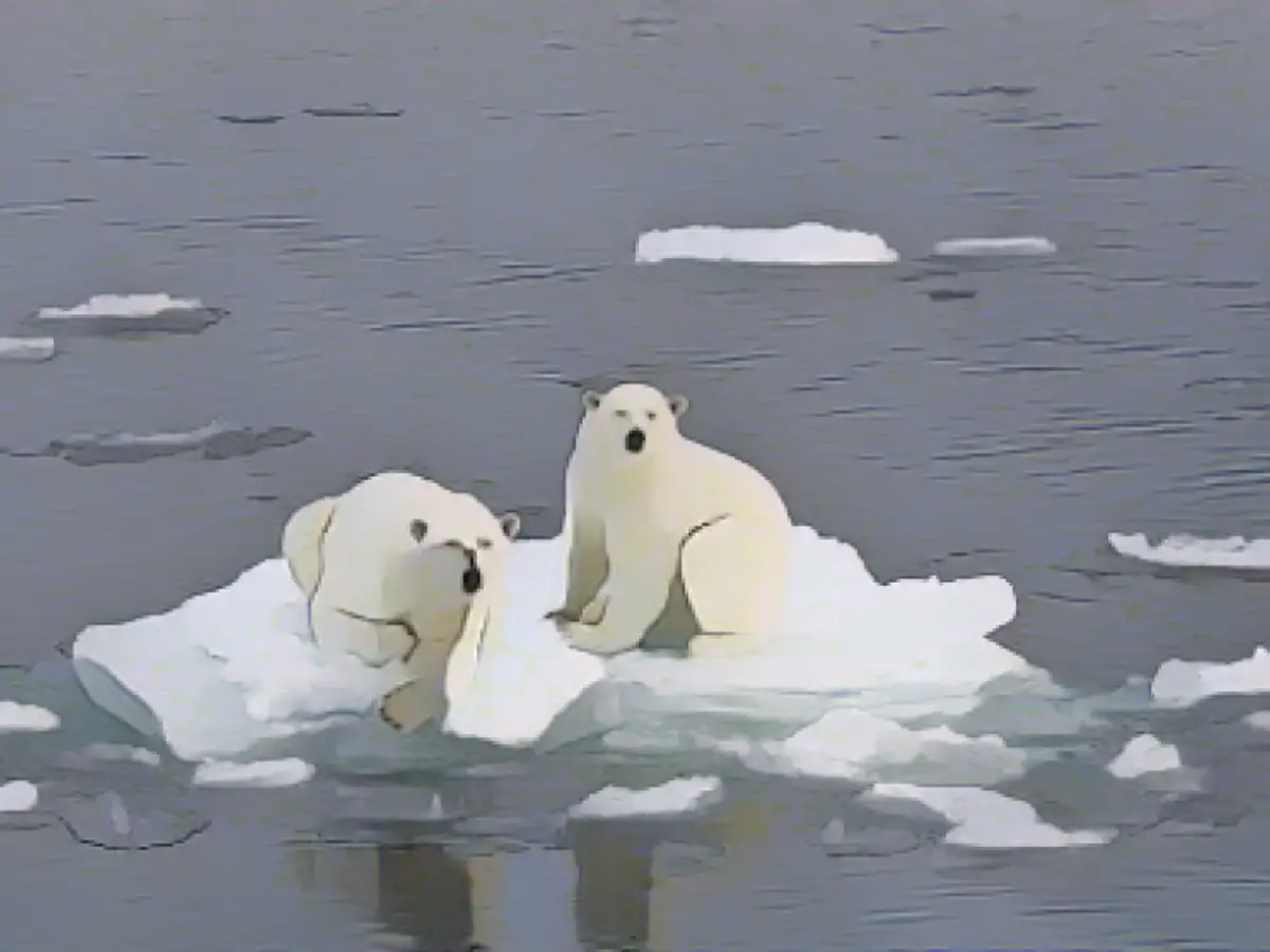 Warmest Arctic summer since measurements began