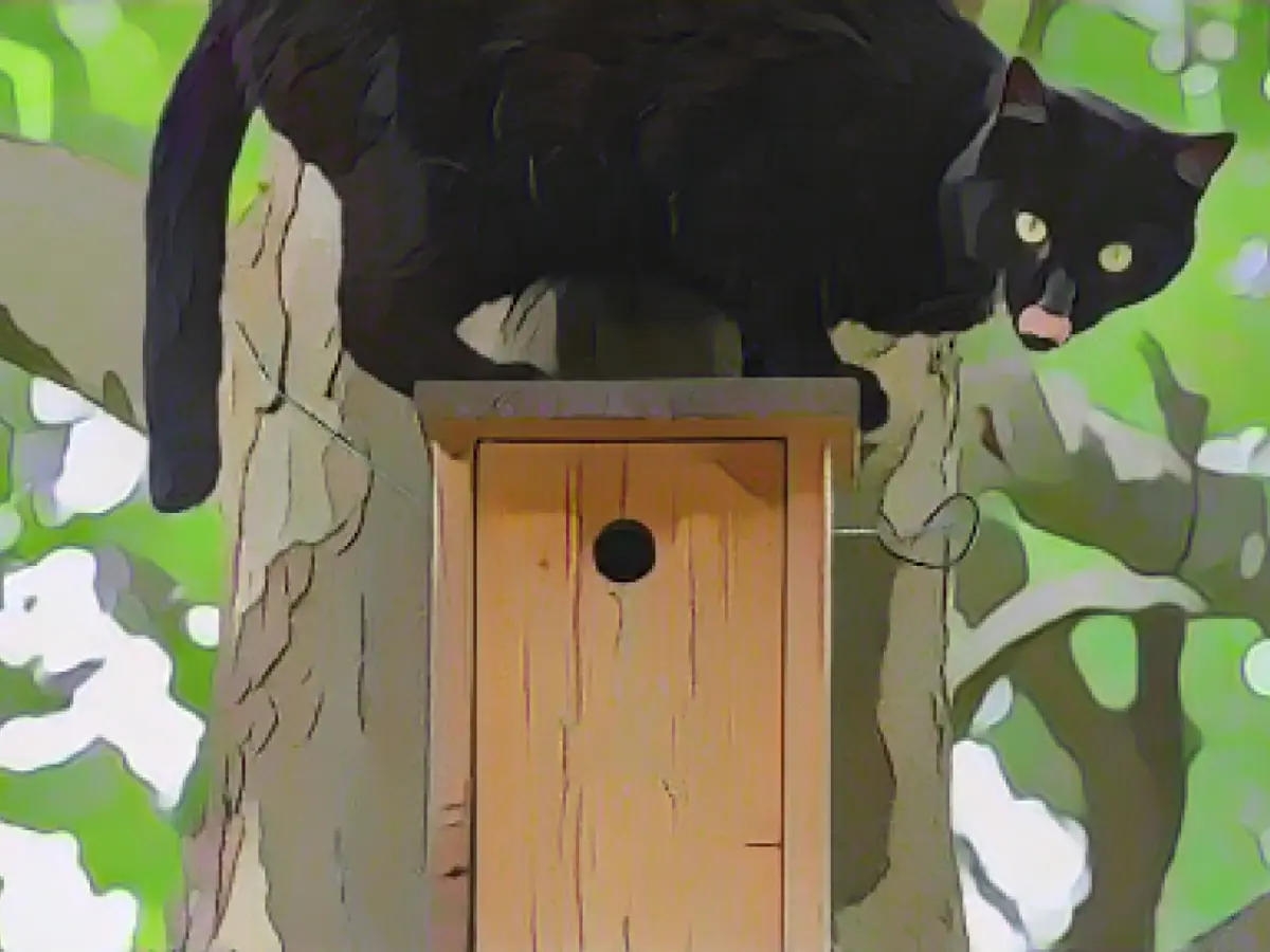 Study: Free-roaming cats endanger biodiversity