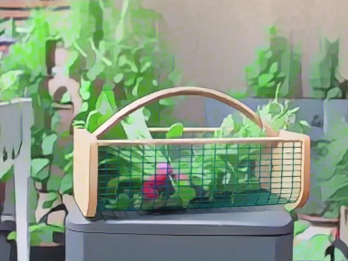 19 Gifts Gardeners Really Love