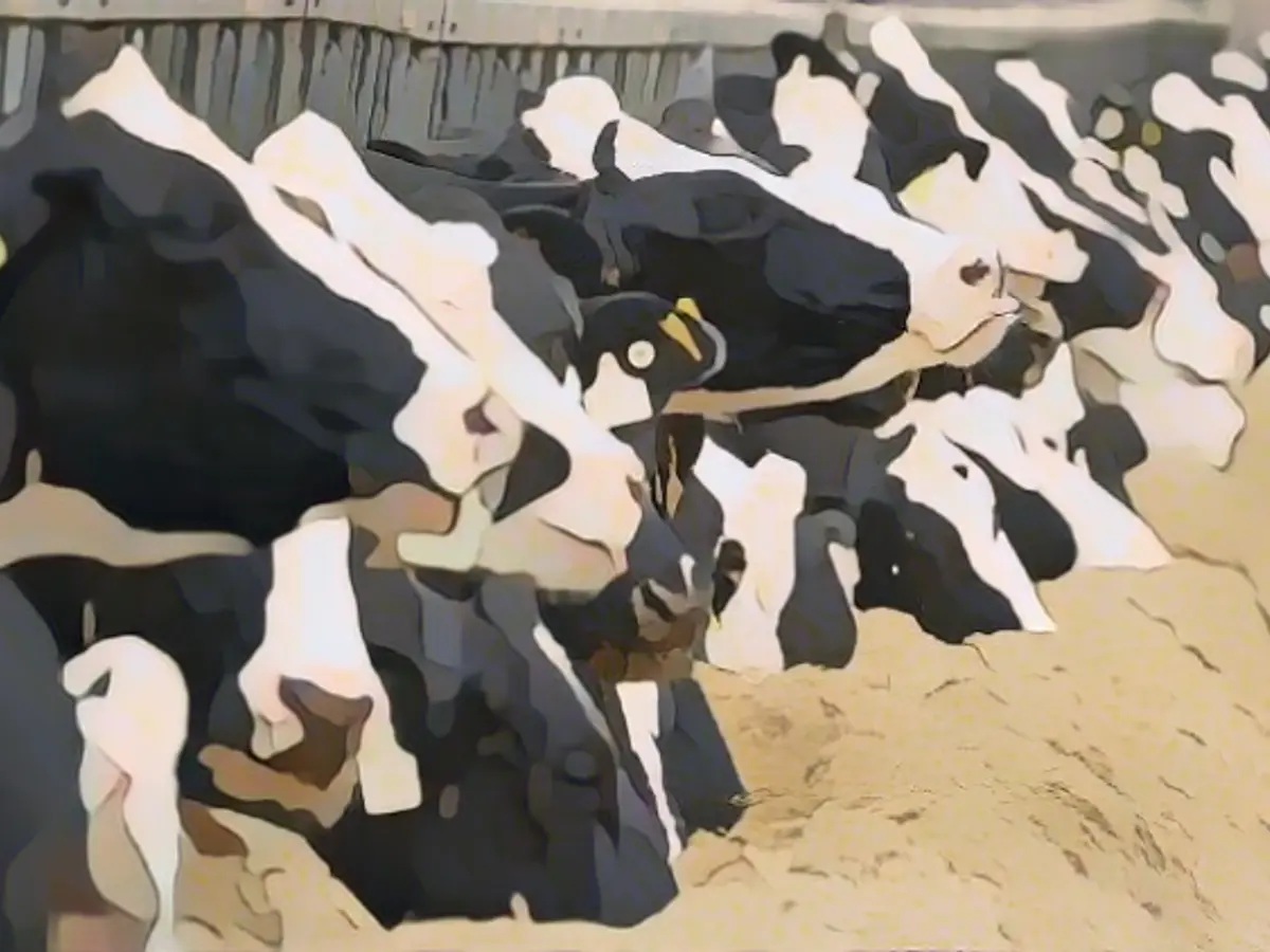 Further fall in producer prices for agricultural products in Germany