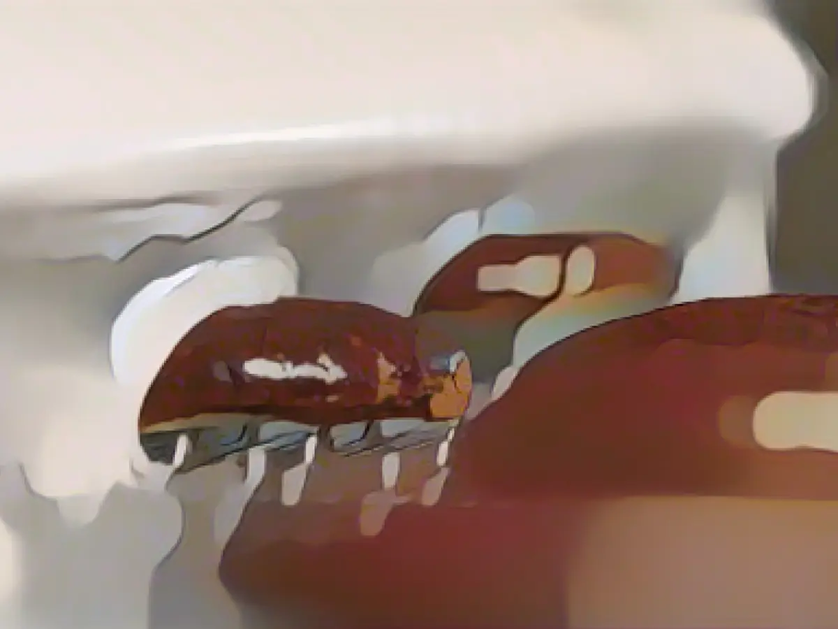 Gingerbread and honey cake production: just under one kilo per inhabitant