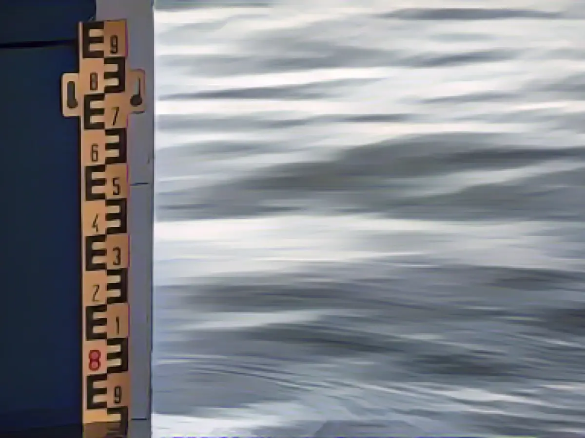 Rising water levels on the Rhine: protective walls are being erected