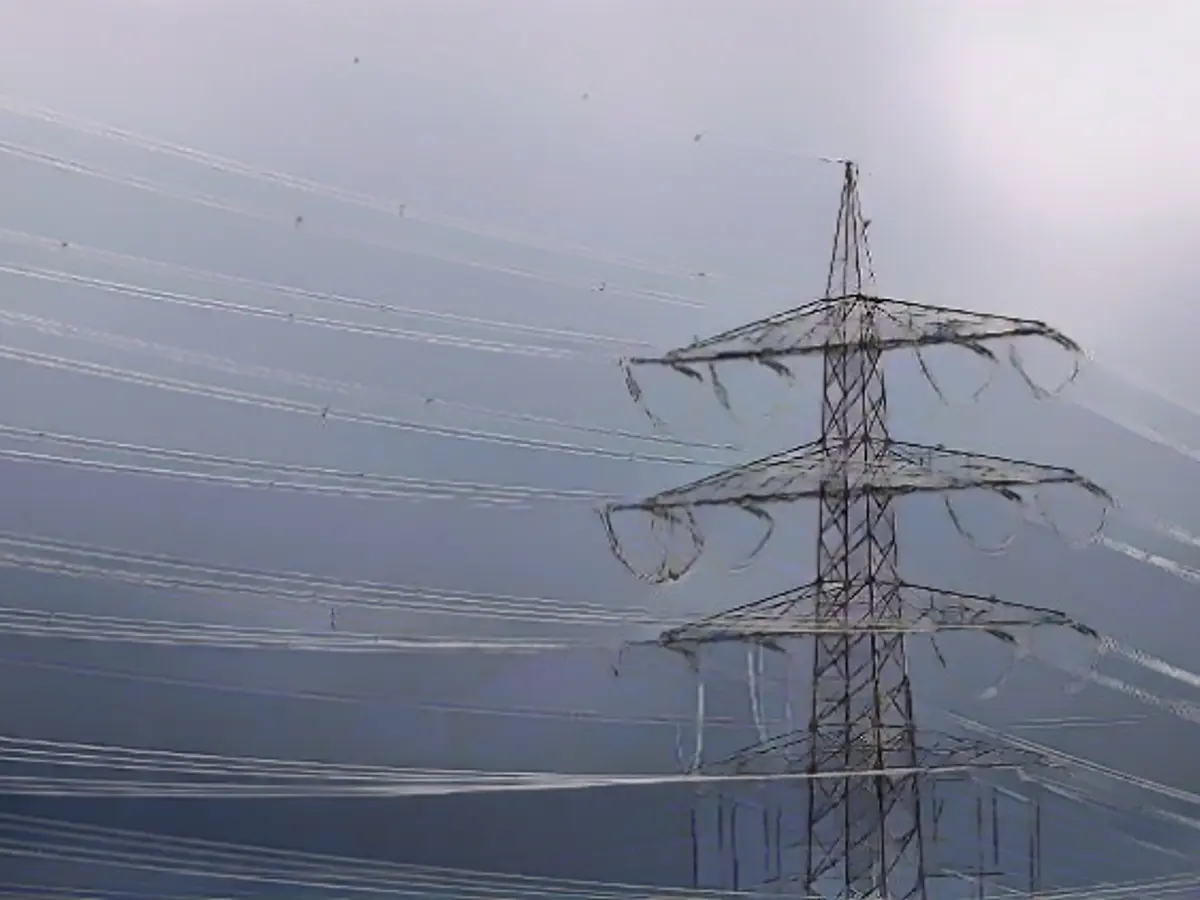 Ruling changes nothing? "That was also a big word"