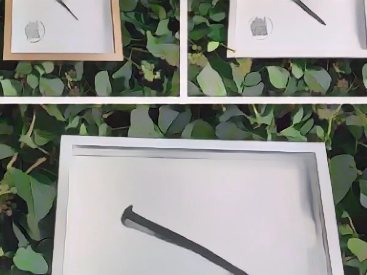 Vierende tower: Speyer Cathedral Building Association sells historic nails