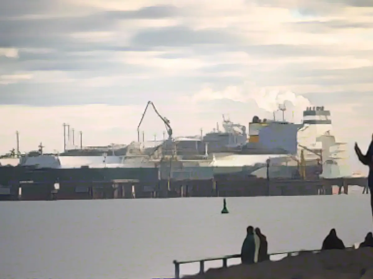 Share of LNG in gas imports remains low