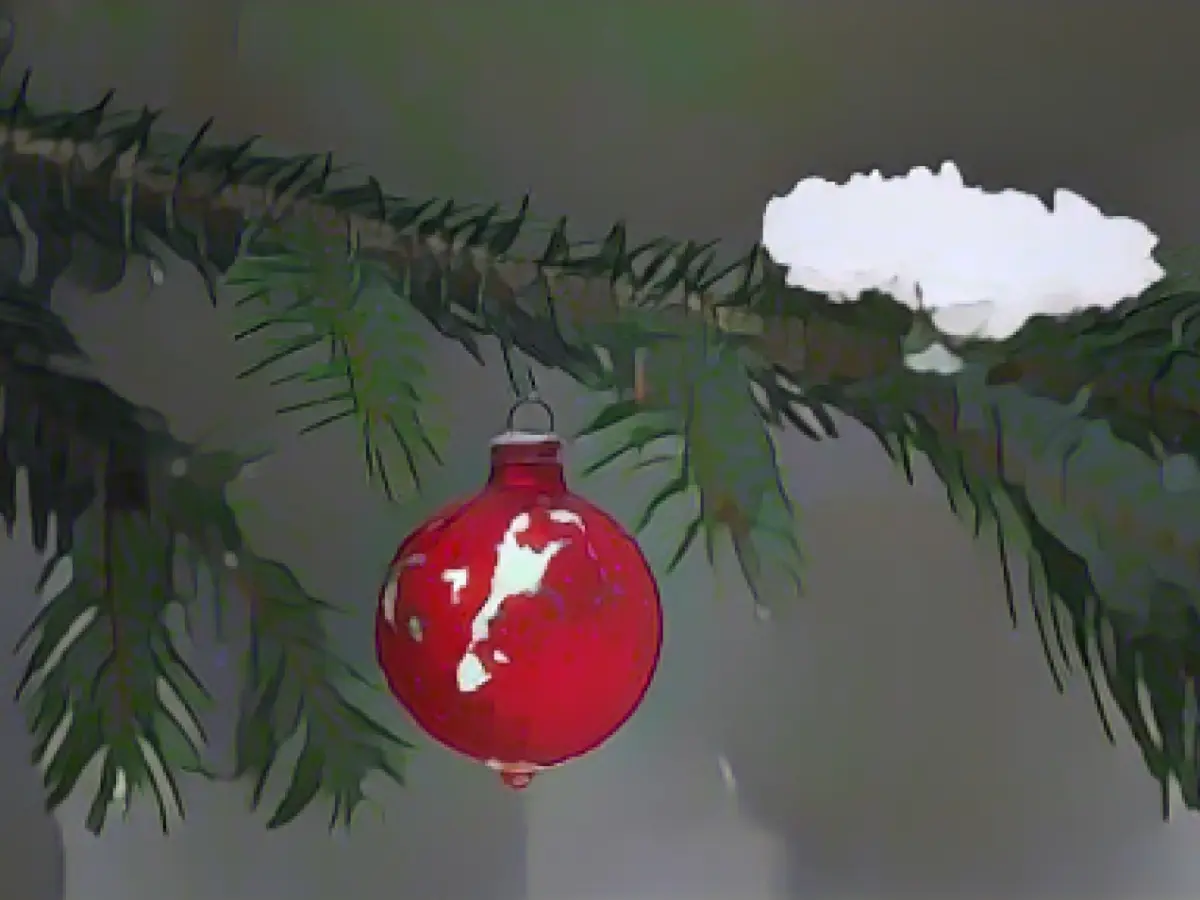 Oh shock, the tree is gone: Christmas tree thefts