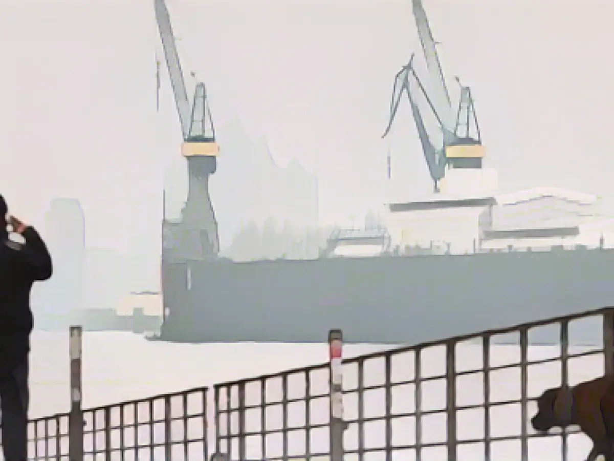 Dog boom in Hamburg continues even after Corona