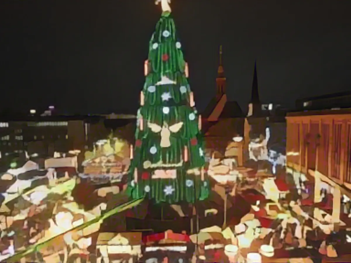 Stitched together from a thousand red spruce trees: Dortmund has the largest Christmas tree