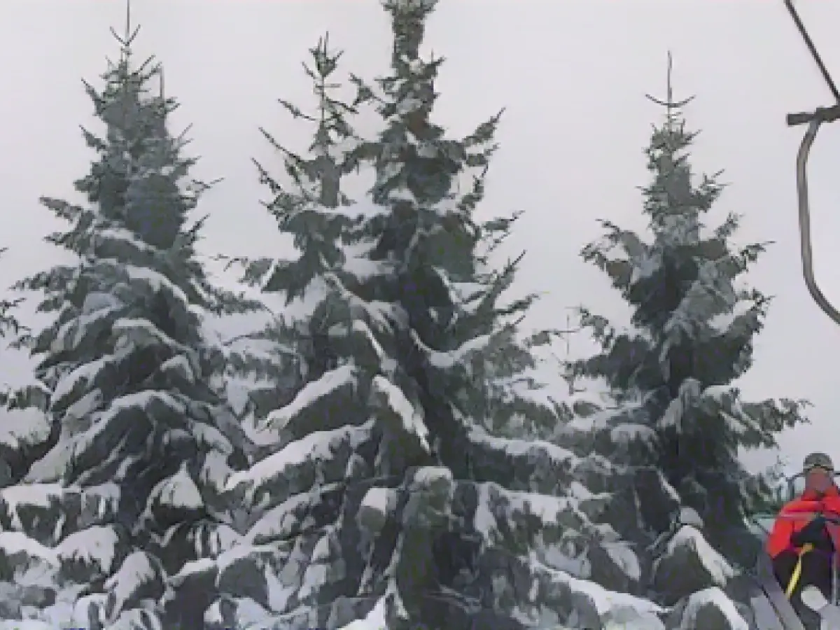 Winter sports despite thaw also thanks to artificial snow