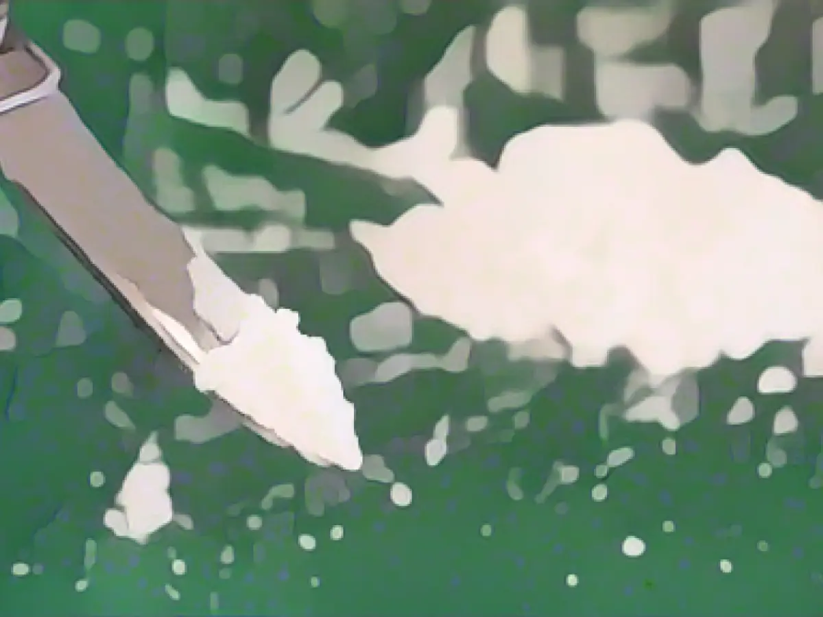 Tons of cocaine: arrests for drug trafficking