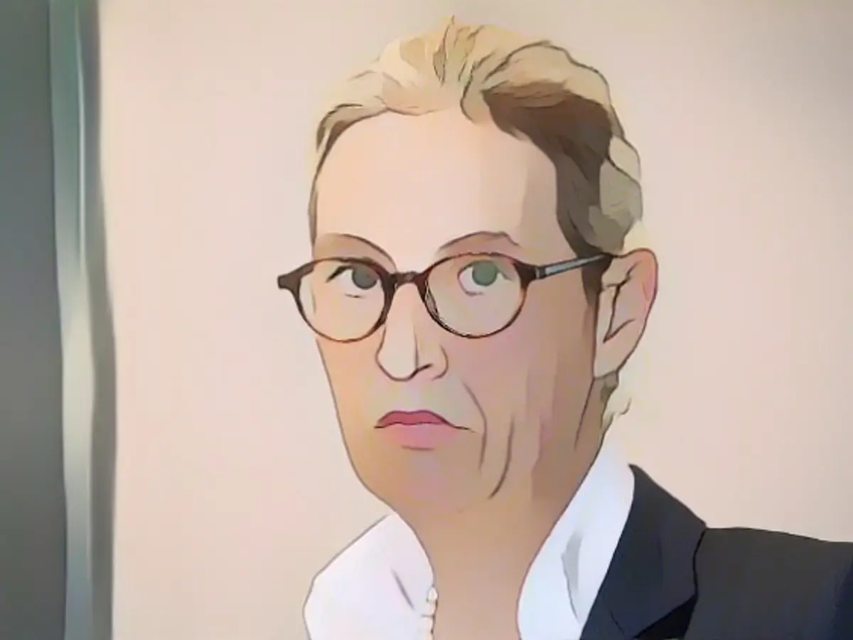 Weidel allegedly worked uncleanly on doctoral thesis