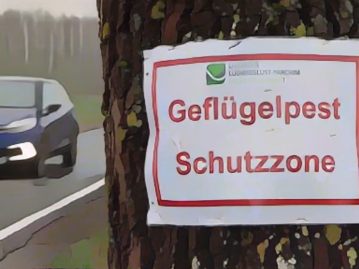 Avian influenza detected in NRW for the first time this winter