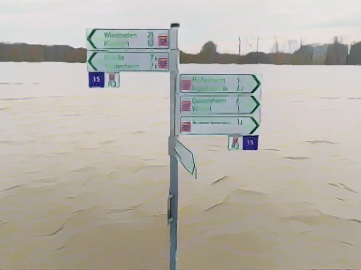 Flood waters on the Rhine slowly recede