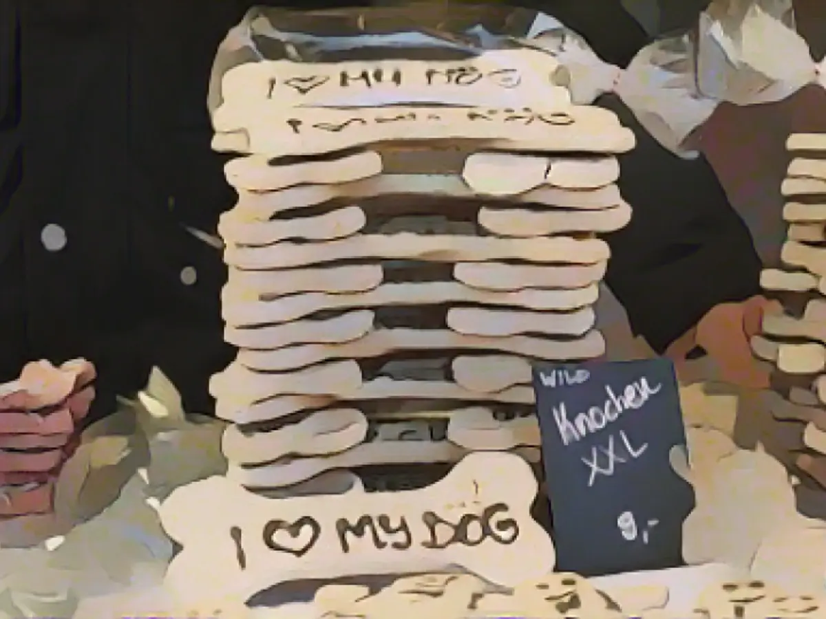 Christmas gifts for special family members - how to make your pets happy