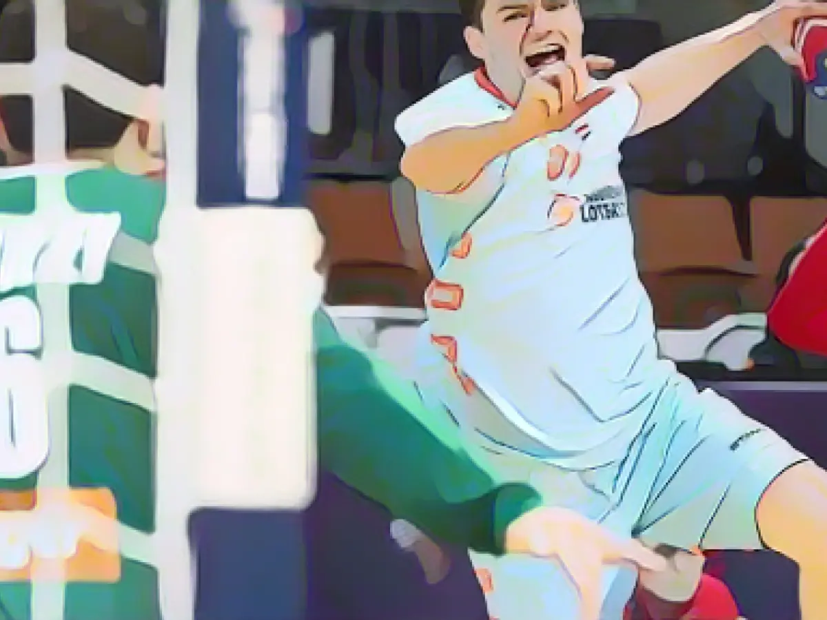 Flensburg's handball players without Kay Smits for the time being