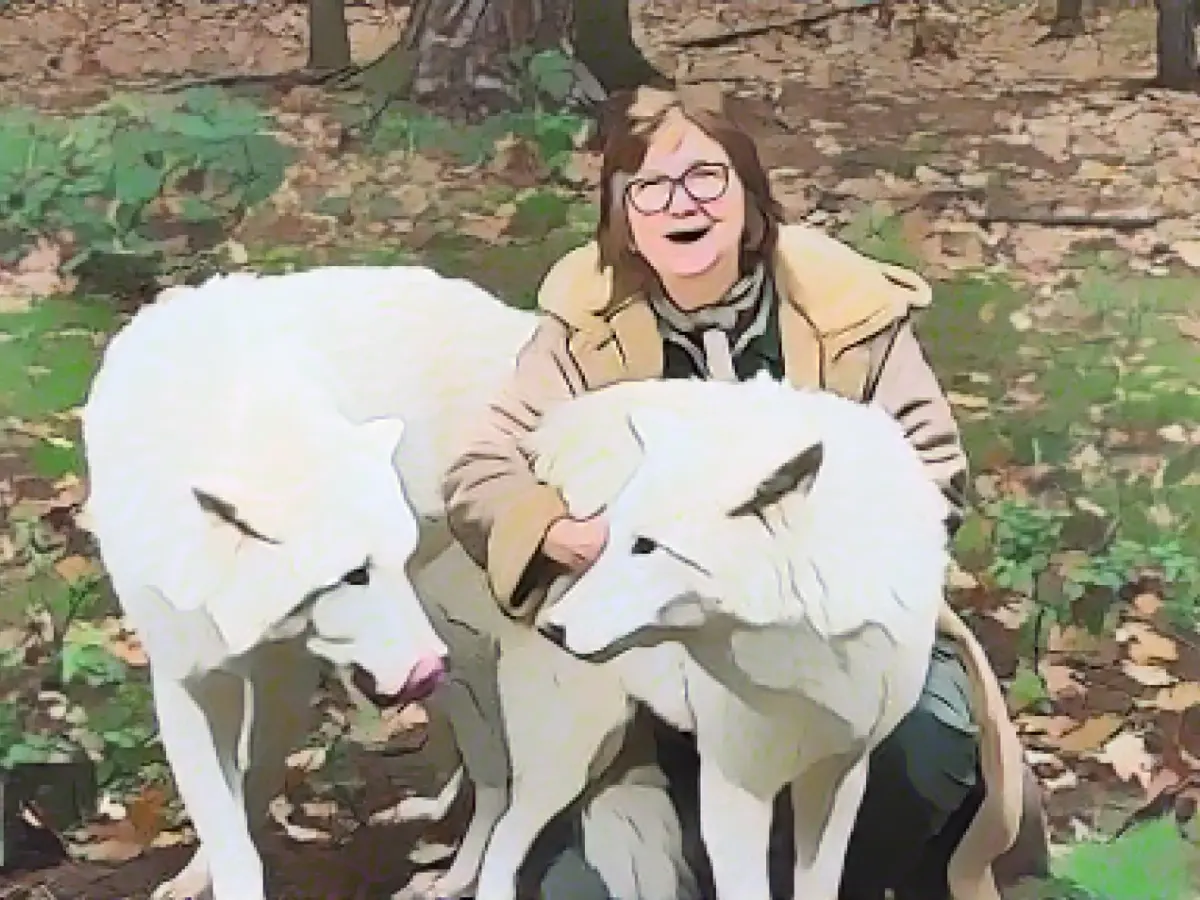 No more wolf howling nights at Hanau's Fasanerie Wildlife Park